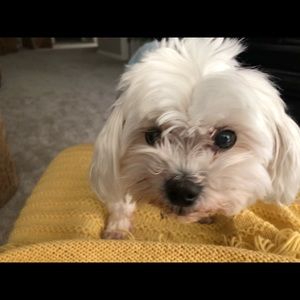 Meet your Posher, Jim